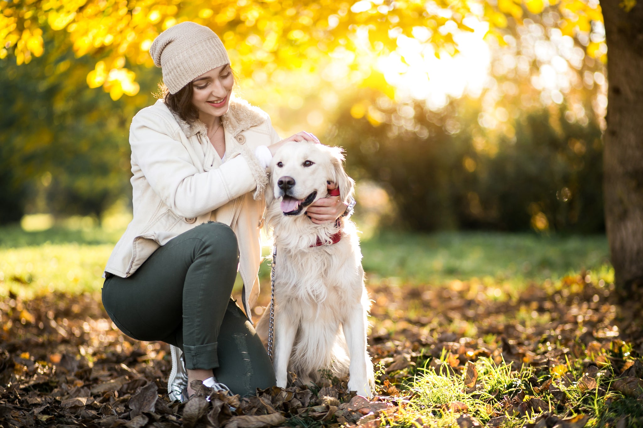 autumn-human-and-her-dog