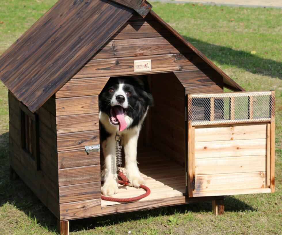 Casa de perro madera