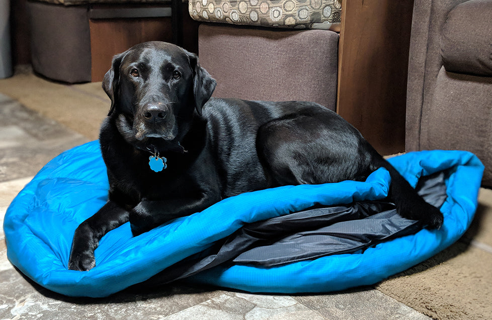 dog on dog sleeping bag and travel bed by whyld river