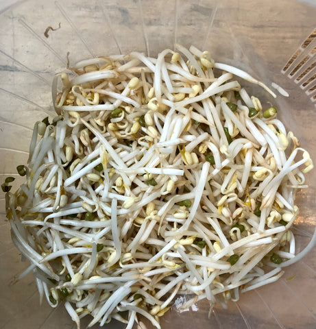 korean recipe bean sprouts rice infrared-roasted sesame seeds infrared-roasted sesame oil ganging korean soy sauce