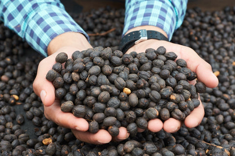 Naturally Processed Coffee Beans
