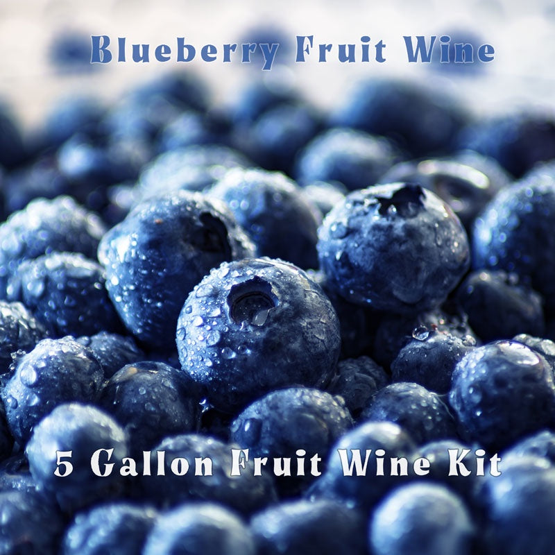 sparkling blueberry wine homebrew 1 gal