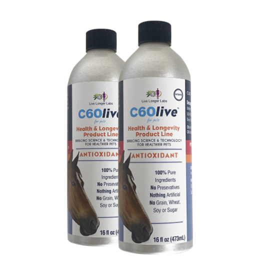 An image of C60 Longevity for Horses 2-Bottle Bundle