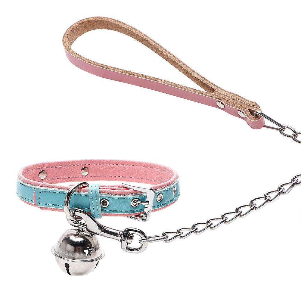 dog neck belt