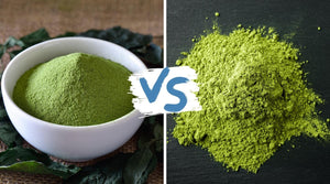 green-tea-powder-vs-matcha-what-is-the-difference
