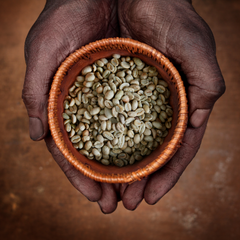 Ethiopian coffee, everything you need to know