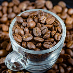 what is the difference between arabica and robusta beans