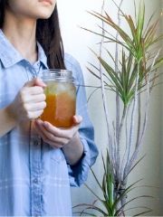 what is the best unsweetened instant tea out there