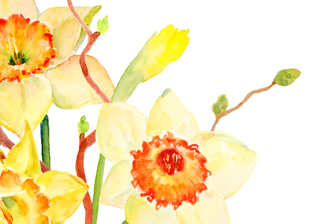 Watercolor Spring Flower Daffodils Floral Arrangement Printable