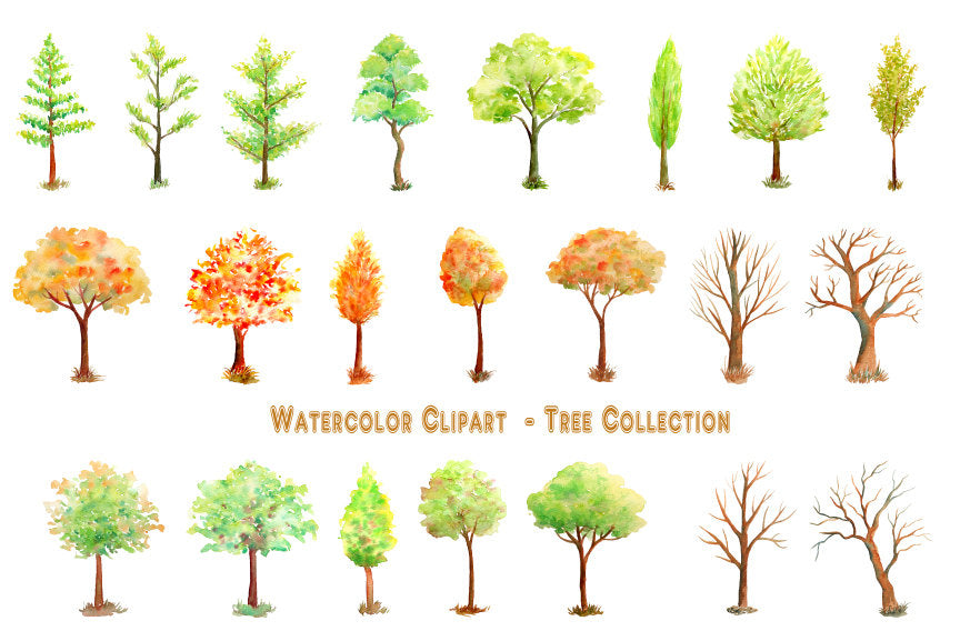 tree seedling clipart