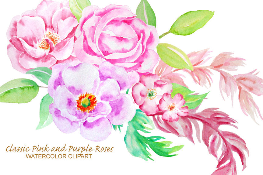 purple rose clipart