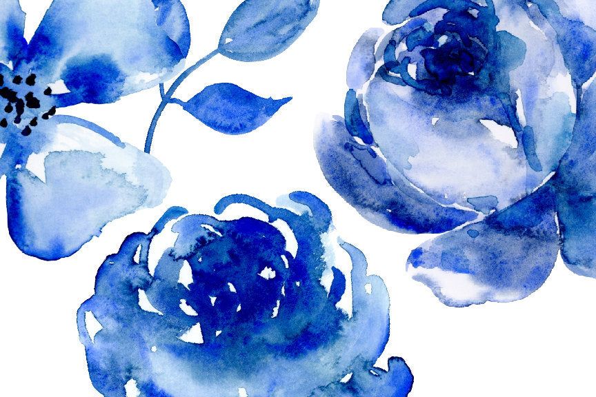 indigo flower watercolor png