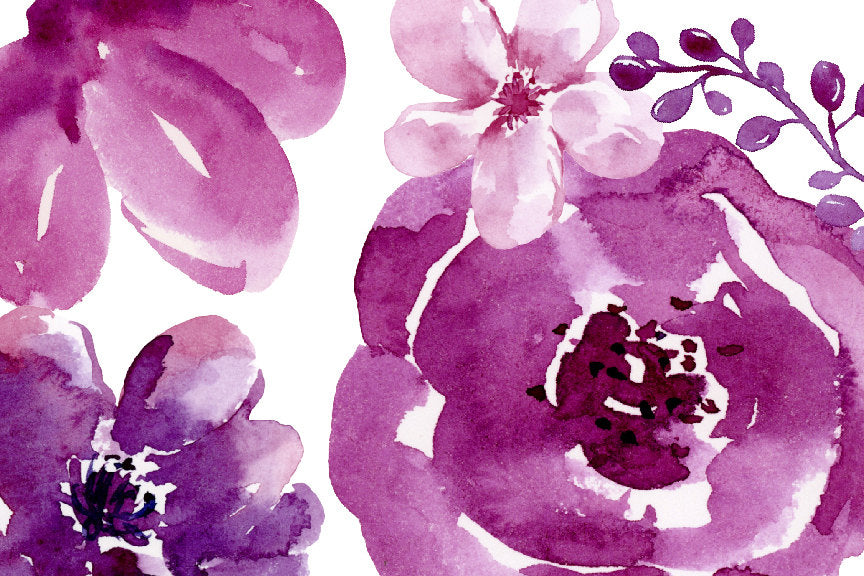 Watercolor Clipart Plummy, plum, purple, pink and blue ...