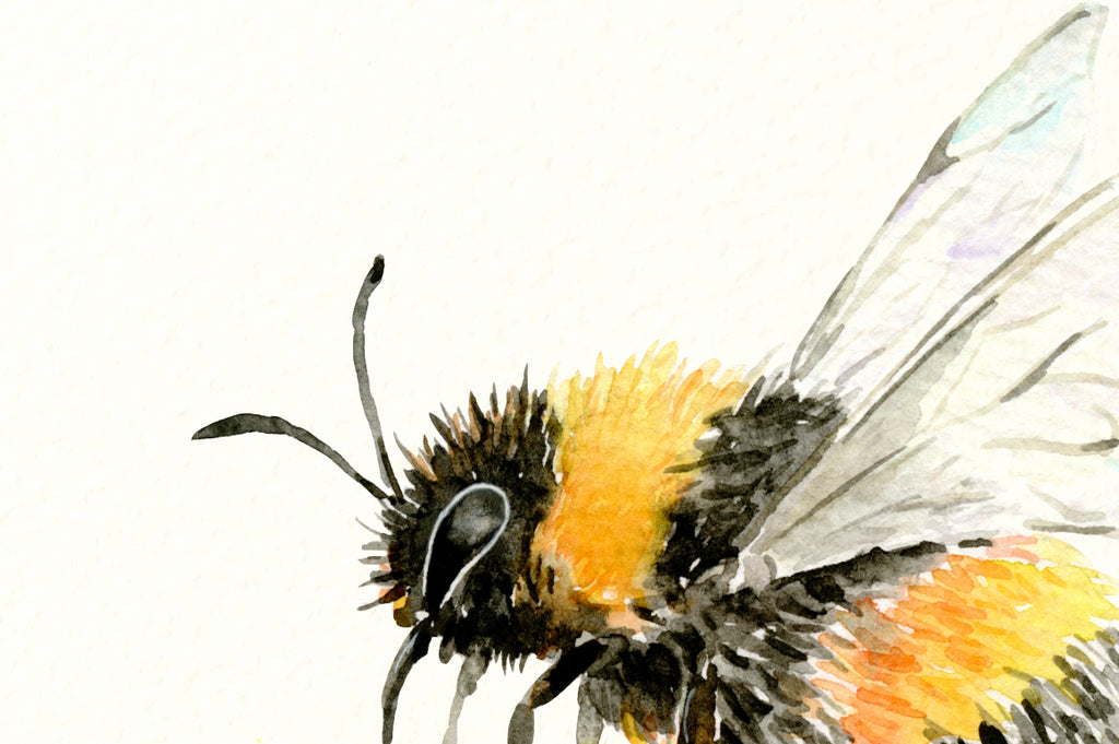 Download Watercolor Flying Honey Bee Printable - Corner Croft