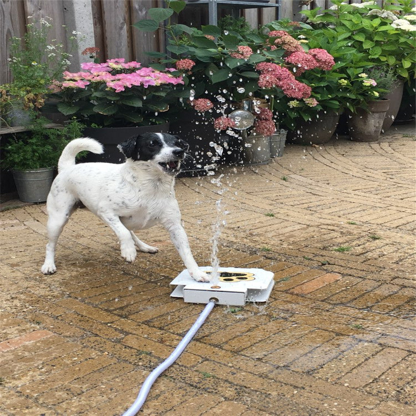 cold water fountain for dogs