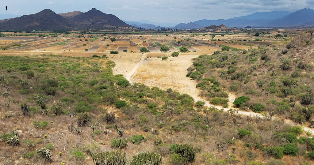 copita field early days 2018