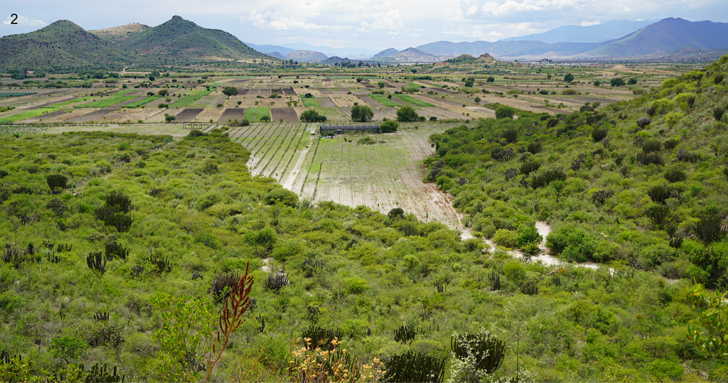 copita field may 2021