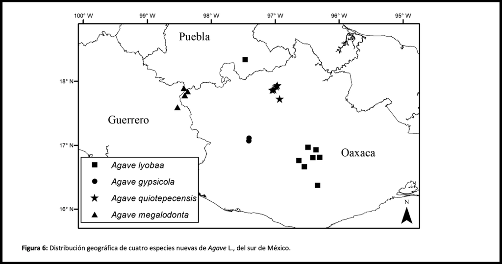 map of newly classified agave species 2019