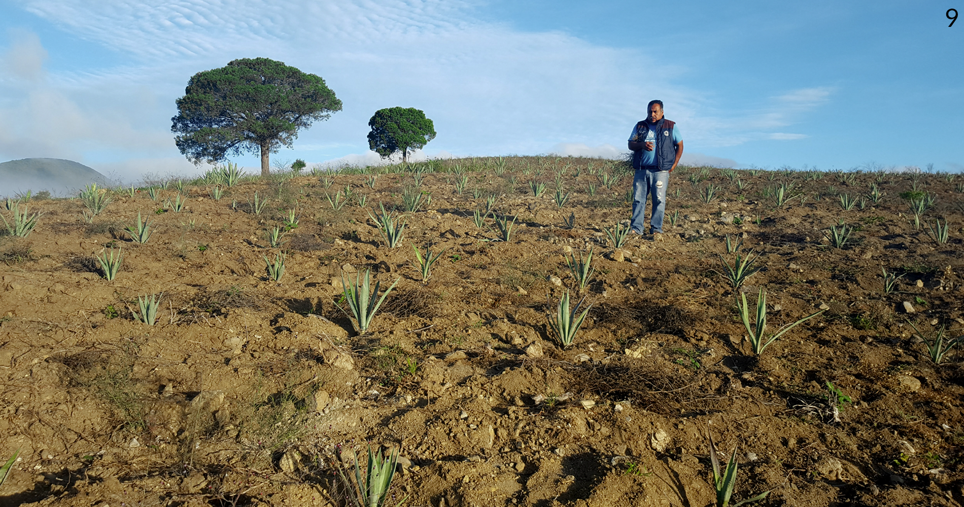 Campo de la Familia Cortes