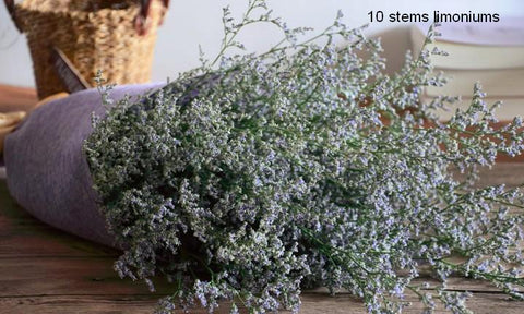 Dried Babys Breath Bunch, Gypsophila, GYP, Wedding Mason Jar