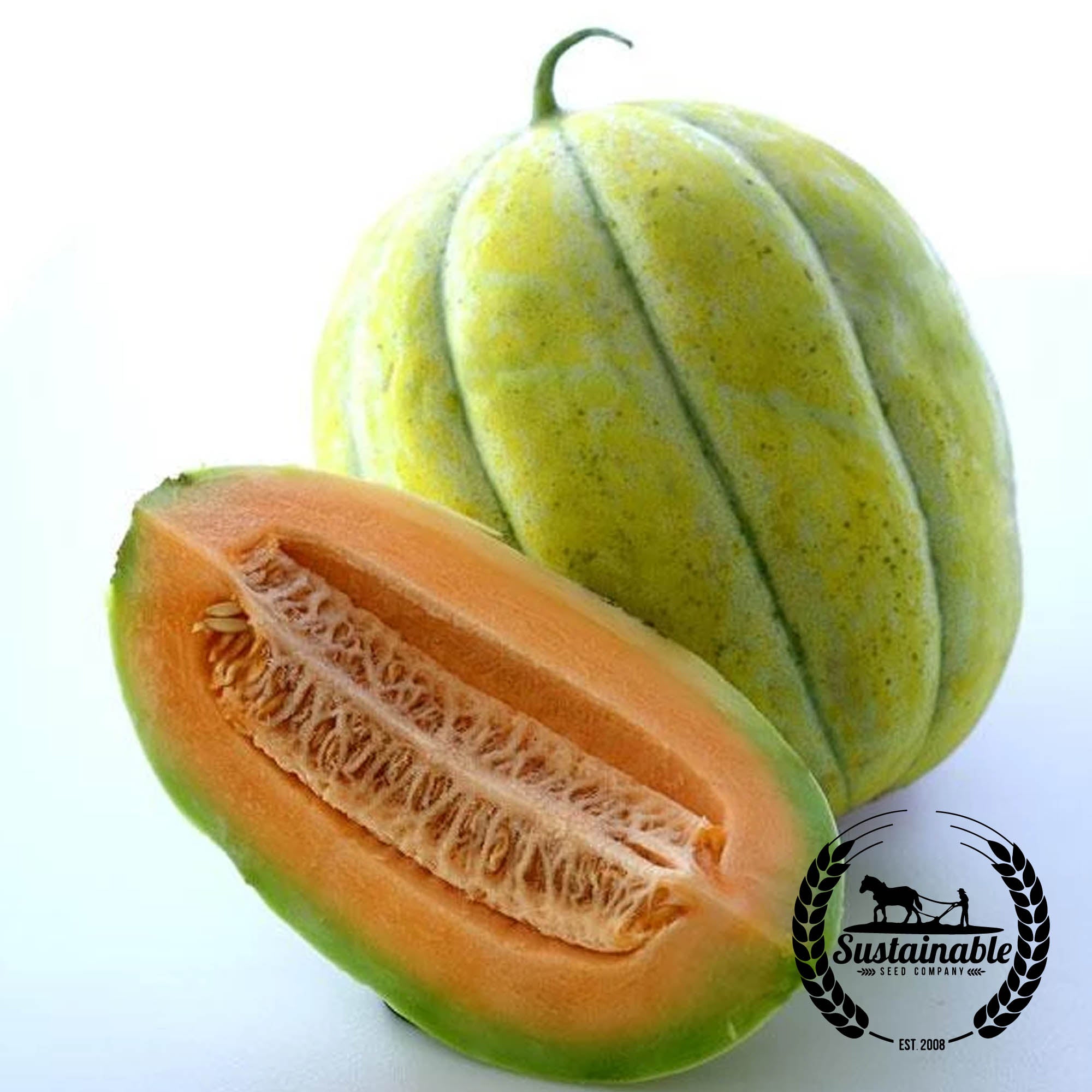 Organic Navajo Yellow Melon Seeds Sustainable Seed Co. Sustainable