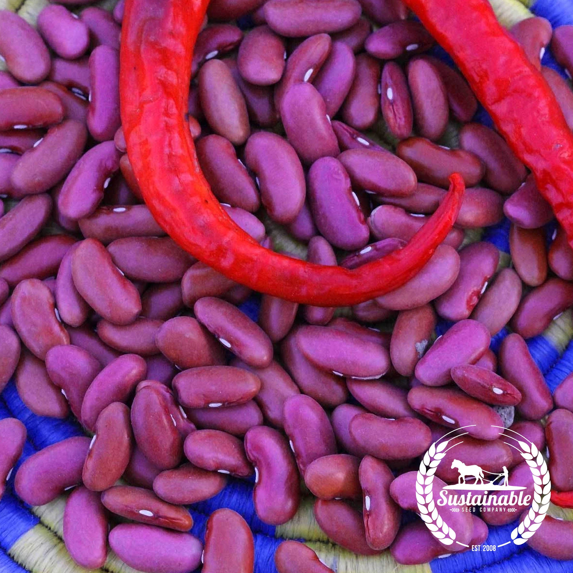organic-light-red-kidney-beans-heirloom-seeds-sustainable-seed-company