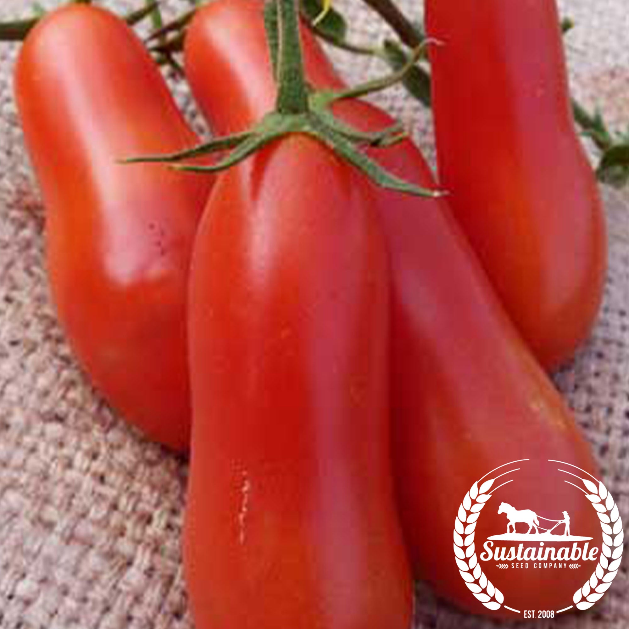 Italian Roma Tomato Heirloom Seeds Vegetable Seeds Sustainable