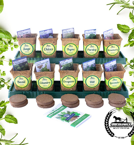 Window Herb Garden Kit - Sustainable Seed Company