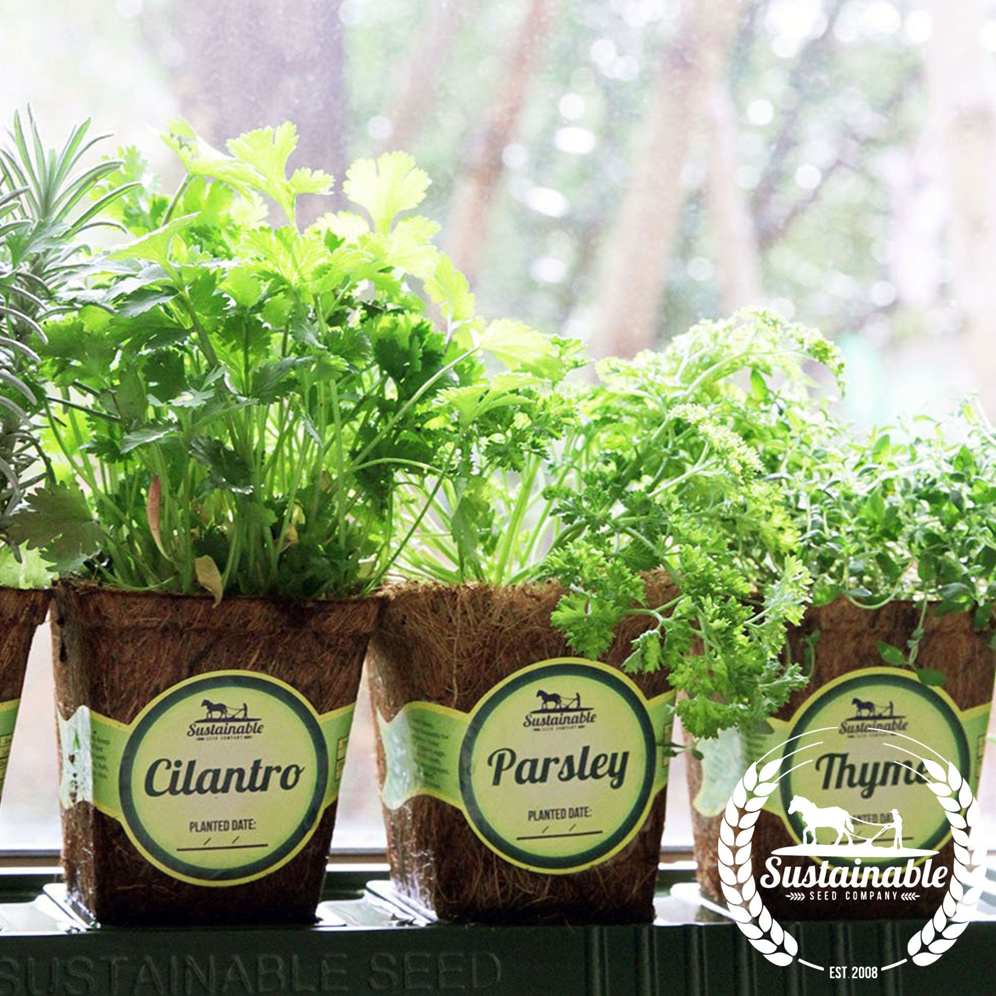 Window Herb Garden Kit Sustainable Seed Company