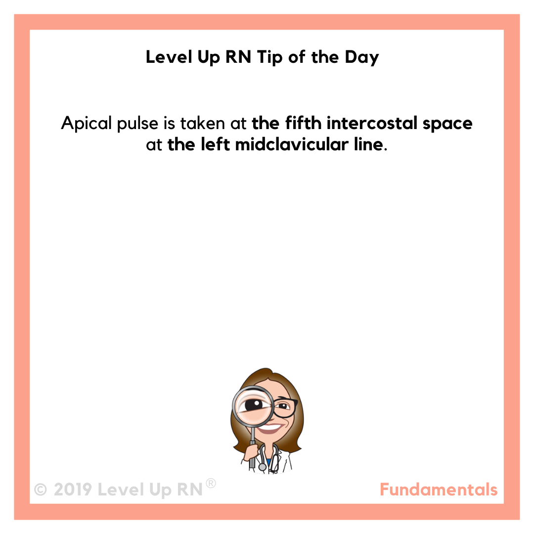 What Is Apical Pulse When To Take Apical Pulse More Leveluprn