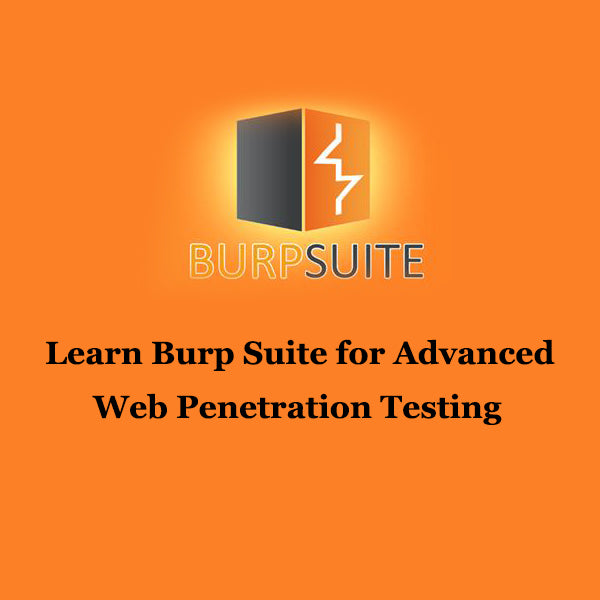 burp suite test website