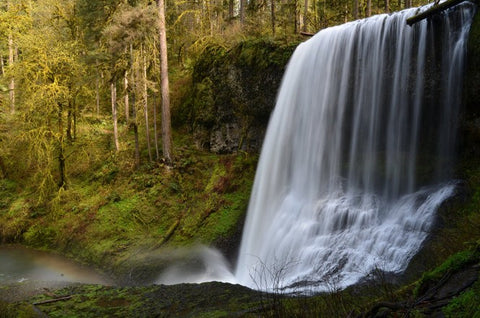 LifeStraw Best Fall Foliage