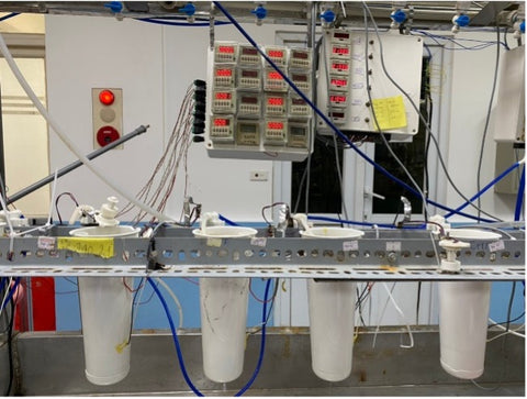 Image of water lab testing filters 