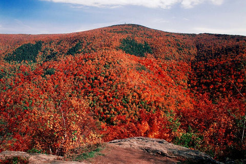 LifeStraw Best Fall Foliage Hikes