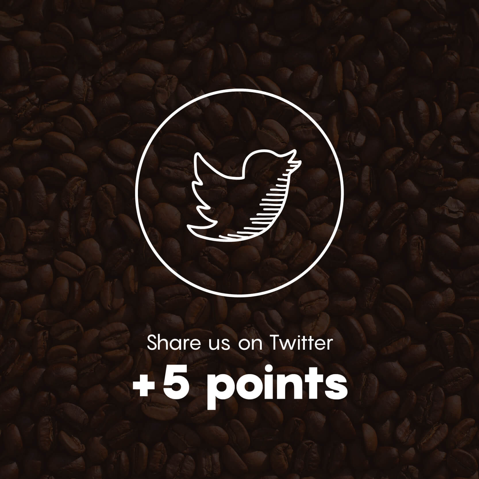 Share us on Twitter +5 Points