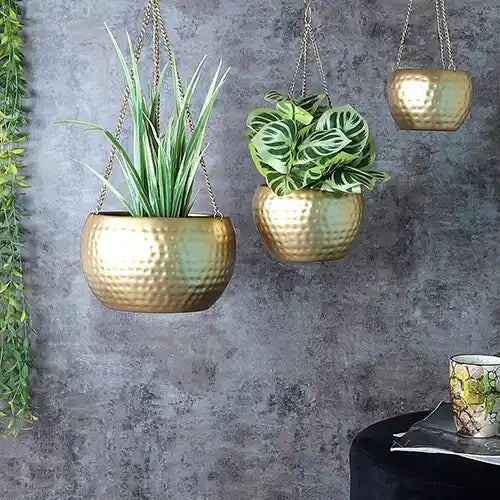 Hanging planter