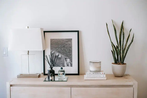 Potted plant, painting, lamp, and books on chest of drawers.