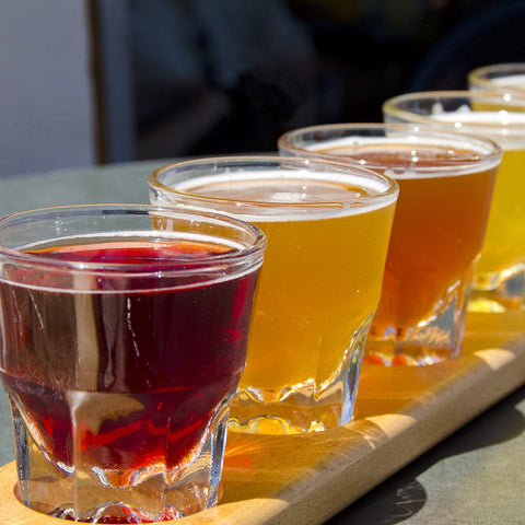 Making Kombucha at Seattle Kombucha Company