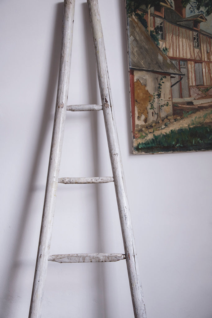 Antique French Orchard Ladder