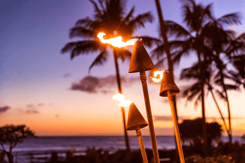 Hawaiian Party Tiki torches