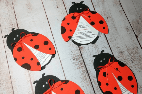 Ladybug Party invitations