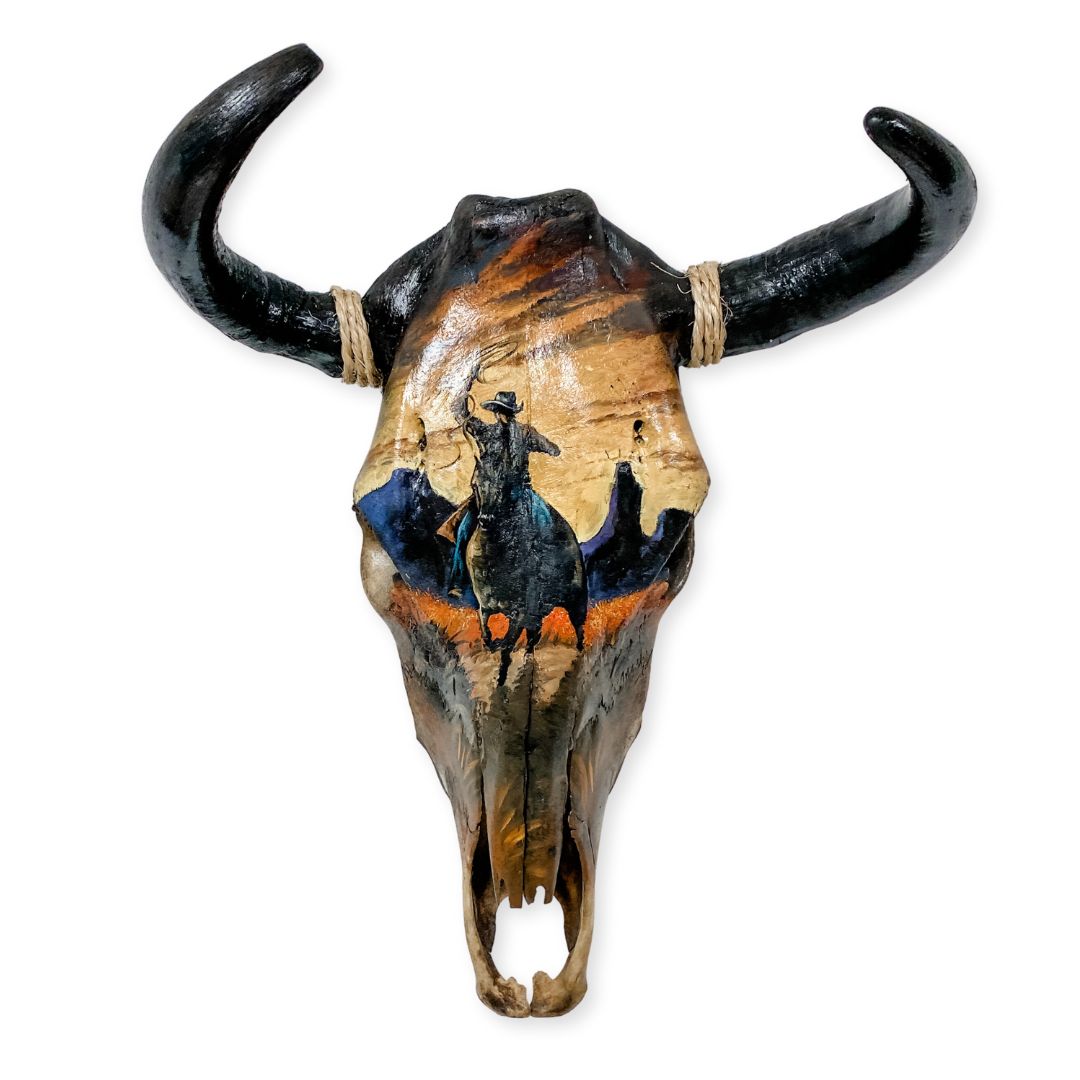 ''Southwest-Style Cow Skull, Cowboy Lasso''