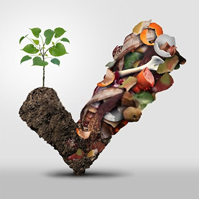 ¿Cómo se degradan los Desechables Biodegradables?