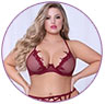 Plus Size Sexy Lingerie