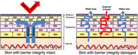 skin barrier integrity intact and skin integrity damage