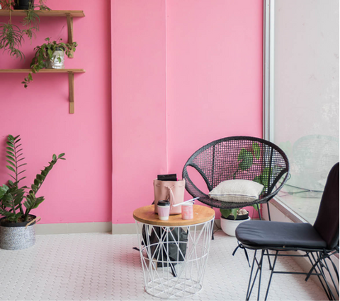 Pink Accent Wall with Furniture