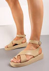 ChunkyGladiator Toe Loop Sandals