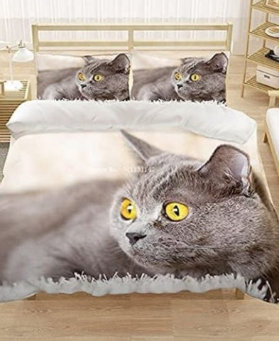 Blaue Karteuser Katze mit goldenen Augen