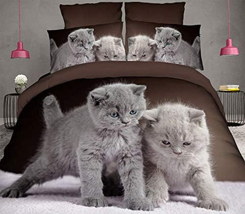 Süße Kitten grau blau zum Einschlafen