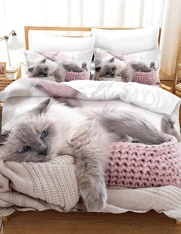 Schlafendes Kätzchen auf Bettwäsche